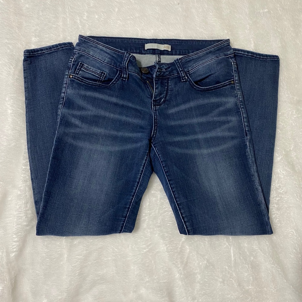 Day trip skinny ankle jeans